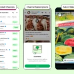 Ảnh minh họa quảng cáo trên WhatsApp Status, hiển thị nội dung quảng cáo giữa các trạng thái bạn bè