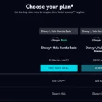 Các gói đăng ký và mức giá của Disney+ và Hulu Duo Bundle