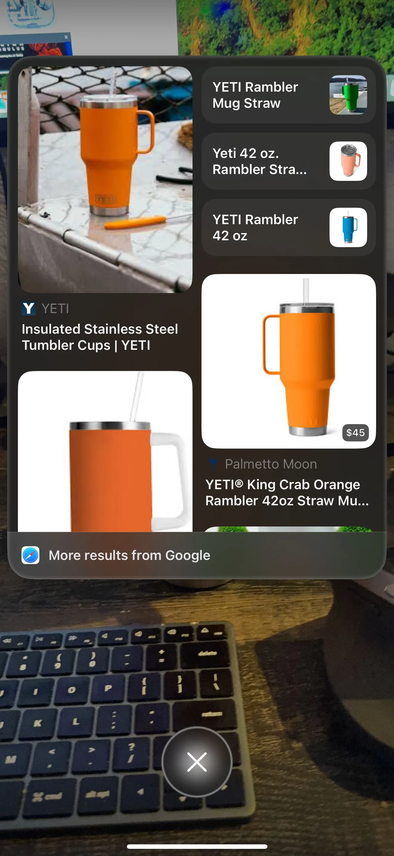 Chức năng tìm kiếm Visual Intelligence trên iPhone, hiển thị kết quả tìm kiếm Google liên quan đến đối tượng trong ảnh.