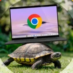 Con rùa mang Chromebook tượng trưng cho hiệu suất Chrome bị ảnh hưởng bởi cache