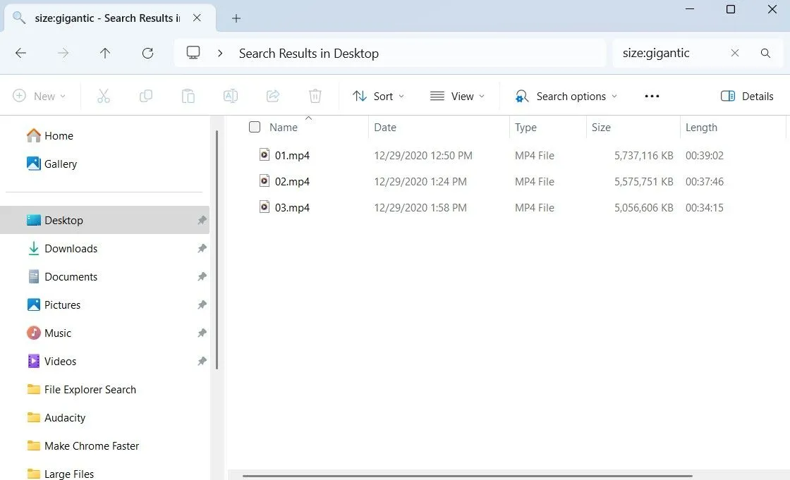 Cửa sổ File Explorer của Windows hiển thị kết quả tìm kiếm các tệp tin dung lượng lớn, được sắp xếp theo kích thước để dễ dàng quản lý.