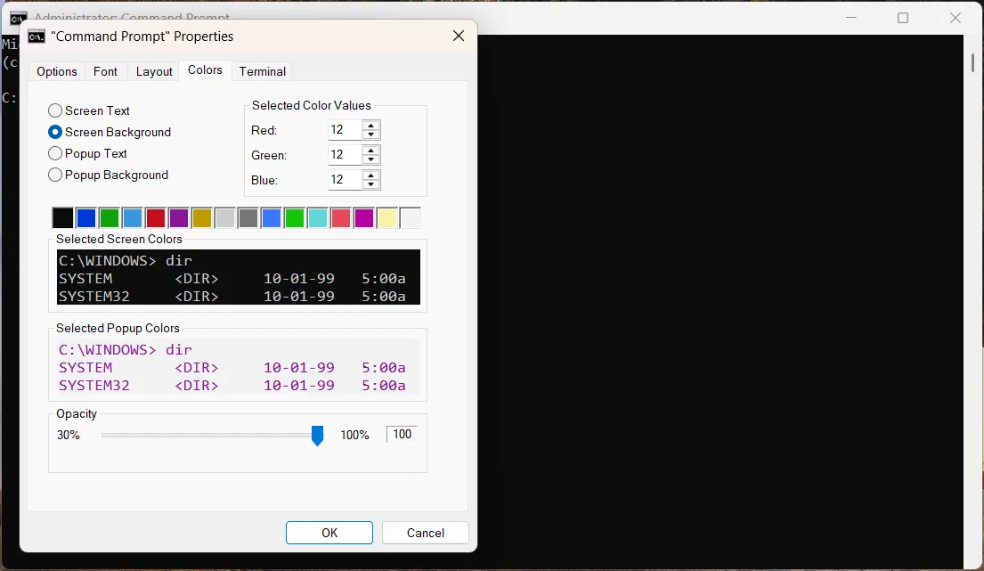 Cửa sổ thuộc tính của CMD trên Windows với các tùy chọn tùy chỉnh