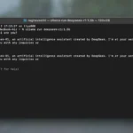 DeepSeek-R1 hoạt động trong cửa sổ Terminal sau khi cài đặt Ollama