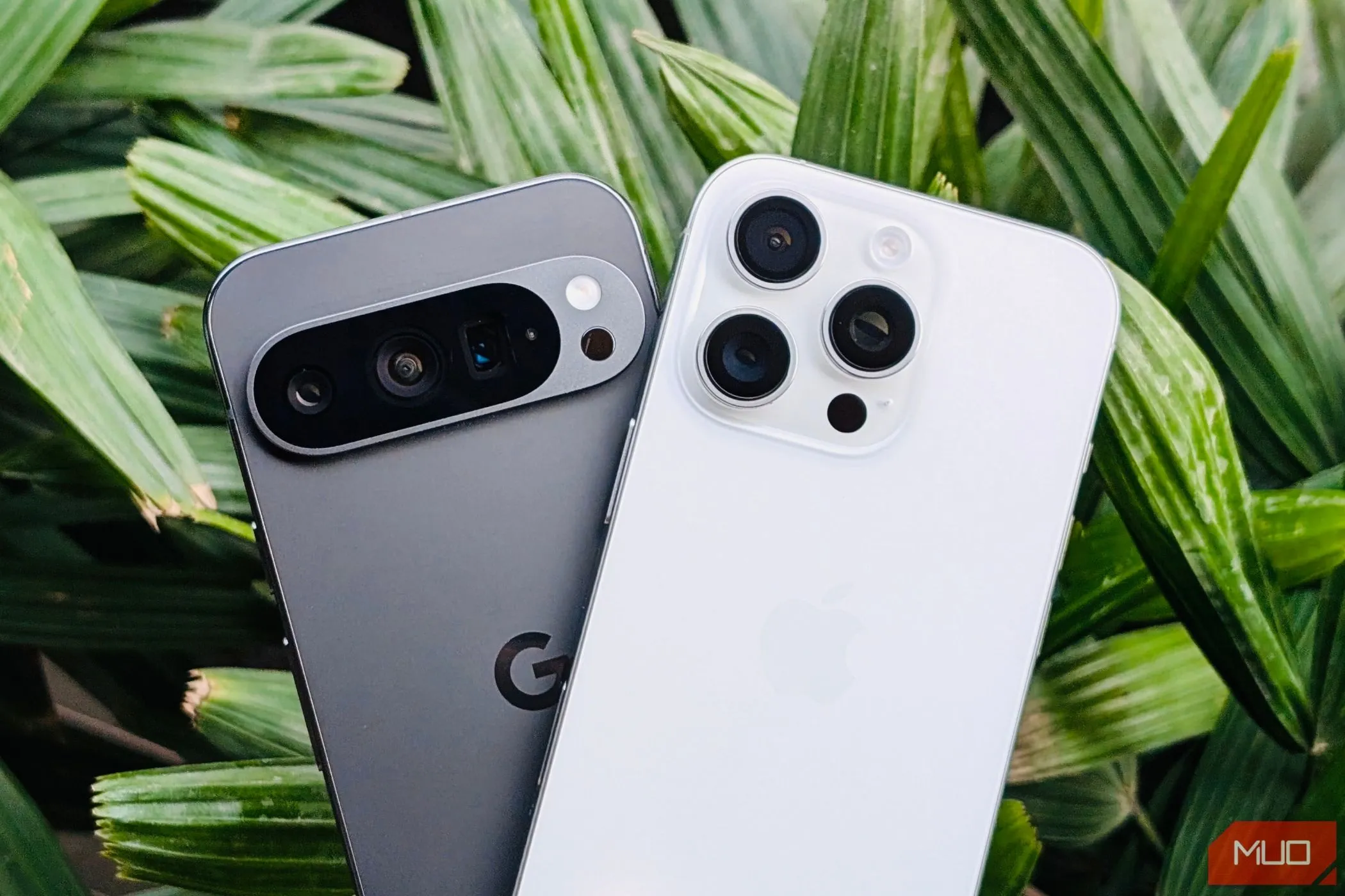 Điện thoại Pixel 9 Pro và iPhone 16 Pro đặt cạnh nhau trước chậu cây