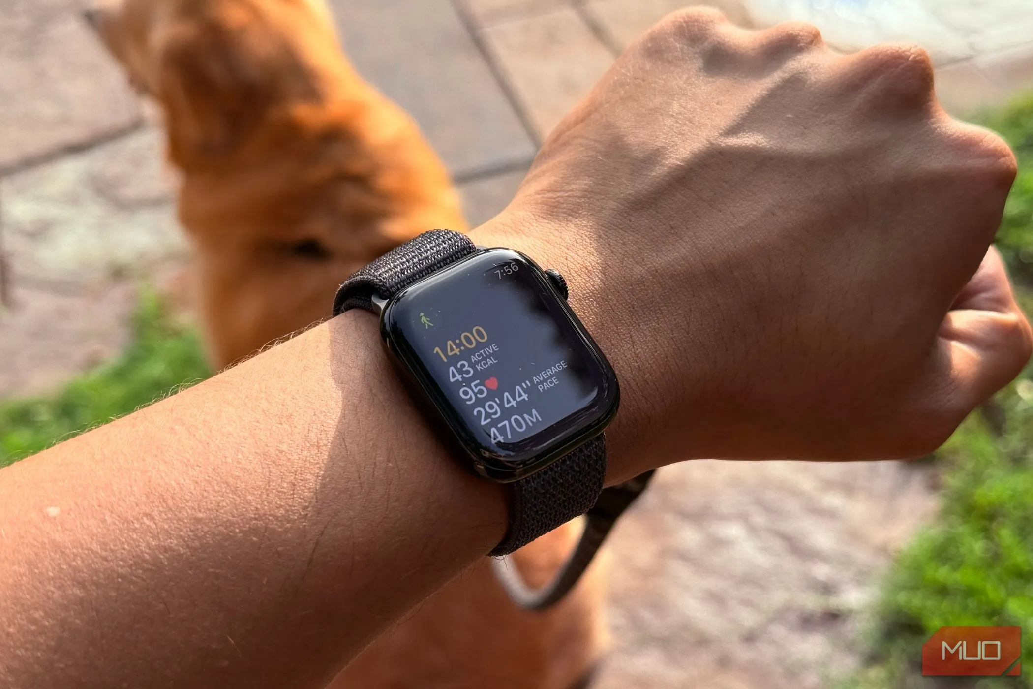 Đồng hồ Apple Watch trên cổ tay người dùng hiển thị ứng dụng theo dõi sức khỏe và các chỉ số tập luyện