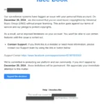 Email giả mạo Facebook với thông báo vi phạm bản quyền để lừa đảo người dùng.