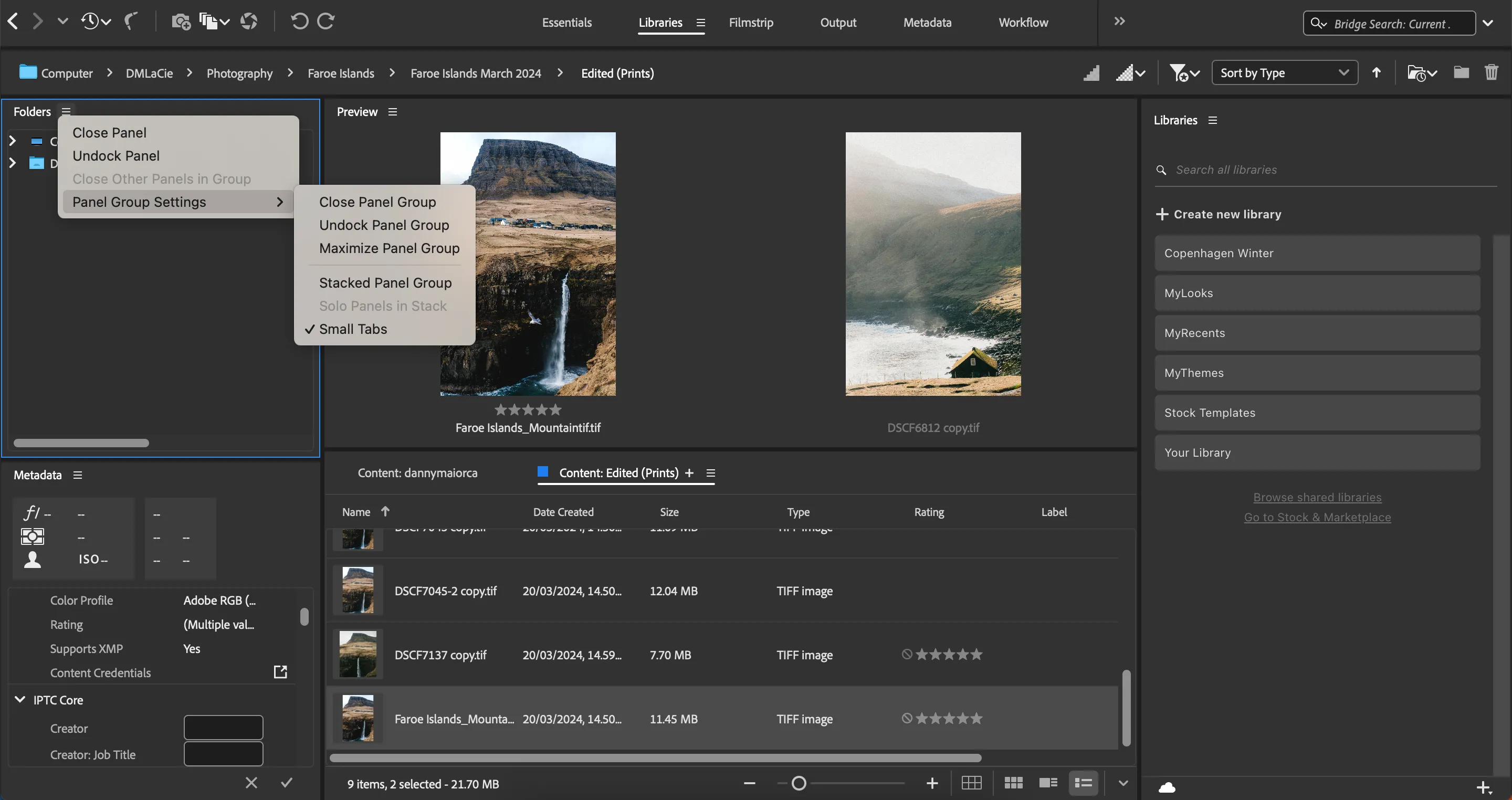 Giao diện cài đặt tùy chỉnh bảng điều khiển trong Adobe Bridge, hiển thị các tùy chọn tổ chức và quản lý hình ảnh hiệu quả.