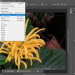 Giao diện Camera Raw Filter trong Photoshop với tùy chọn Lens Blur