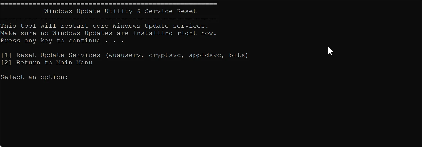 Giao diện công cụ đặt lại dịch vụ Windows Update trong Windows Maintenance Tool
