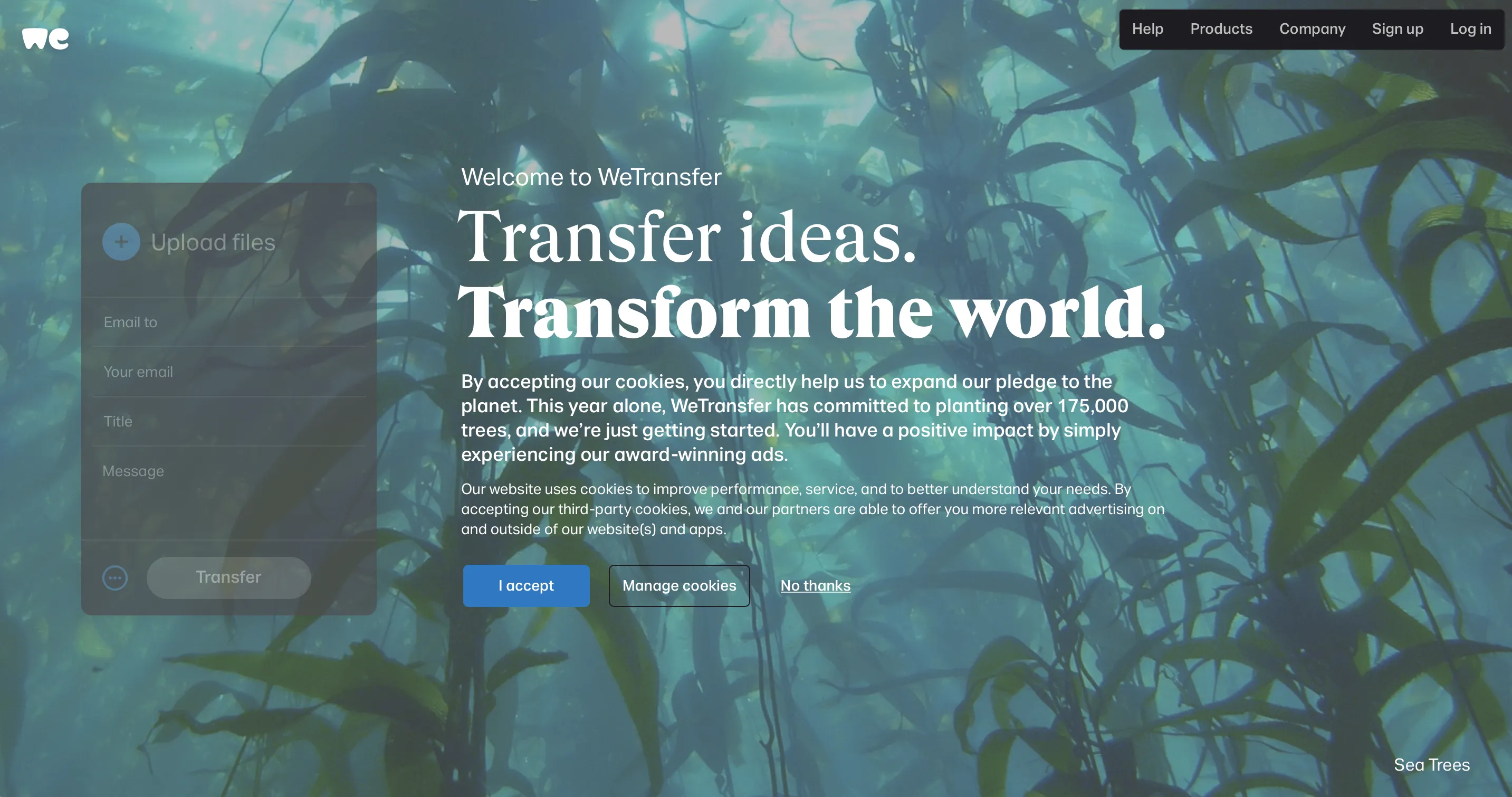 Giao diện dễ sử dụng của WeTransfer với tính năng kéo thả tệp tin tiện lợi