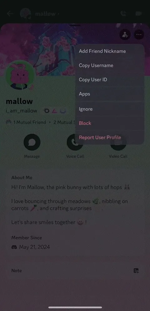Giao diện hồ sơ người dùng Discord với menu ba chấm hiển thị tùy chọn 'Bỏ qua' (Ignore) và 'Chặn' (Block)