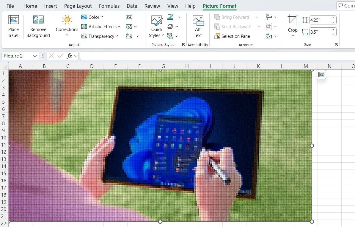 Giao diện Microsoft Excel đang mở thẻ Picture Format để chỉnh sửa hình ảnh, hiển thị các tùy chọn hiệu ứng ảnh
