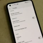 Giao diện người dùng ở chế độ sáng (Light Mode) trên điện thoại Android, minh họa văn bản đen trên nền trắng.