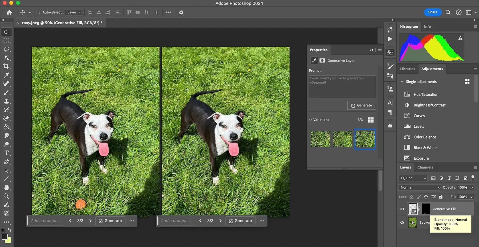 Giao diện người dùng thể hiện tính năng Generative Fill AI trong Adobe Photoshop, minh họa công nghệ AI mới của Adobe.