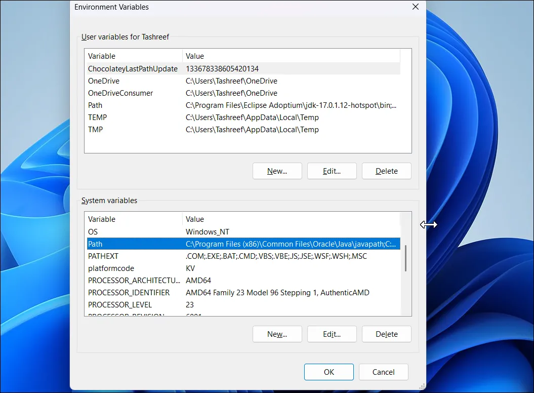 Hộp thoại Environment Variables với dòng Path được chọn để chỉnh sửa, thêm thư mục SDelete.