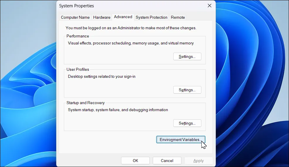 Hộp thoại System Properties hiển thị, chọn Environment Variables trong Windows 11.