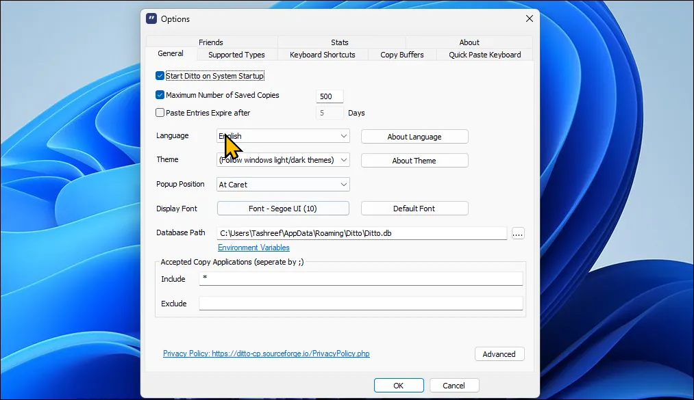 Hộp thoại tùy chọn của Ditto Clipboard Manager trên Windows 11 cho phép quản lý clipboard