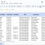Kết quả hàm VLOOKUP trong Google Sheets minh họa tìm kiếm thông tin nhân viên "Saniya" từ cột B và trả về dữ liệu cột thứ 9.
