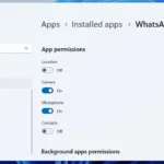 Kiểm soát quyền ứng dụng WhatsApp trên Windows 11 qua cài đặt nâng cao