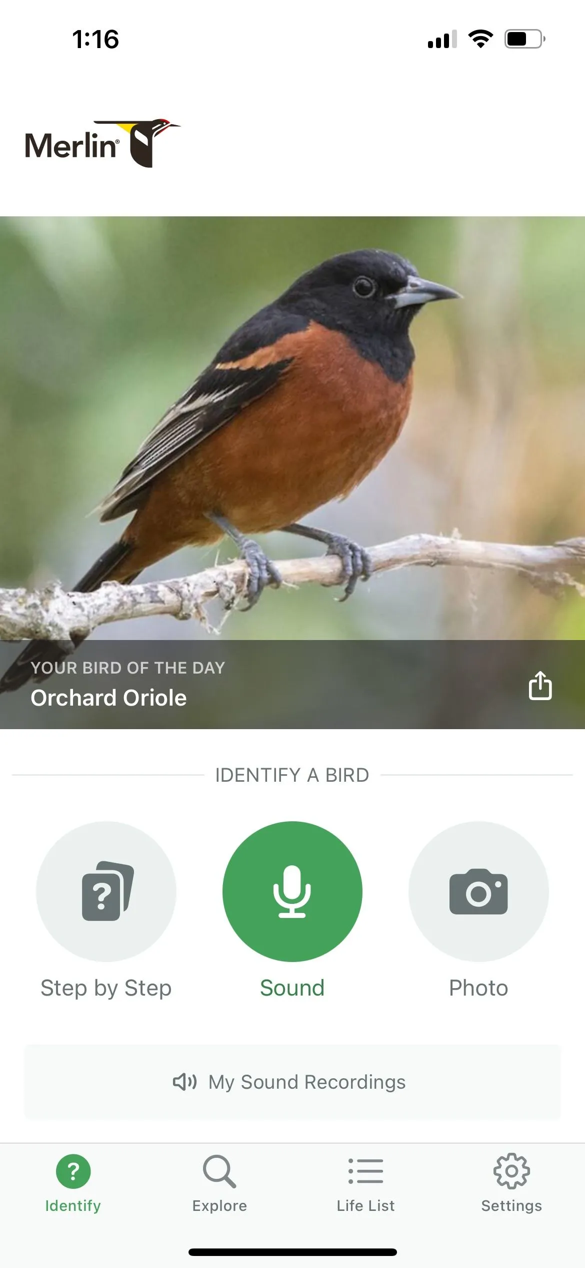 Màn hình chính của ứng dụng Merlin Bird ID hiển thị danh sách các loài chim được nhận dạng trong một khu vực.