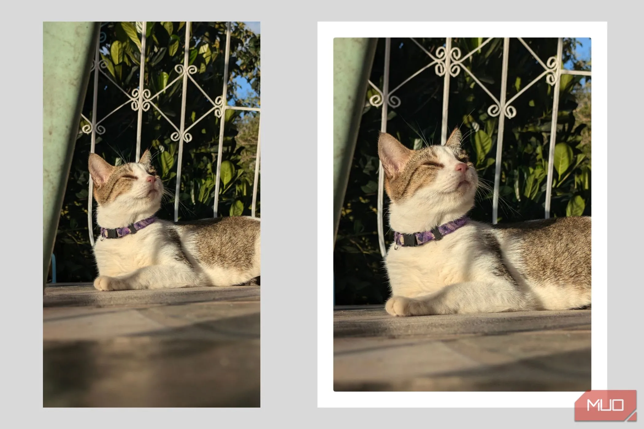 Màn hình điện thoại hiển thị ảnh chụp với tỷ lệ 4:3 và viền trắng kiểu Polaroid, tái tạo cảm giác ảnh film tức thì.