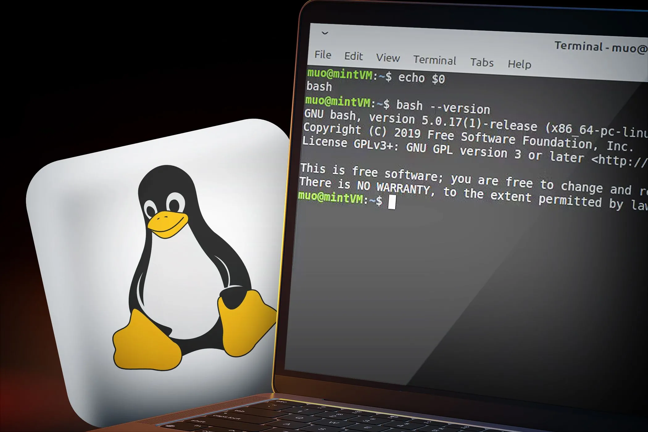 Màn hình laptop hiển thị cửa sổ dòng lệnh Linux với logo Linux ở nền