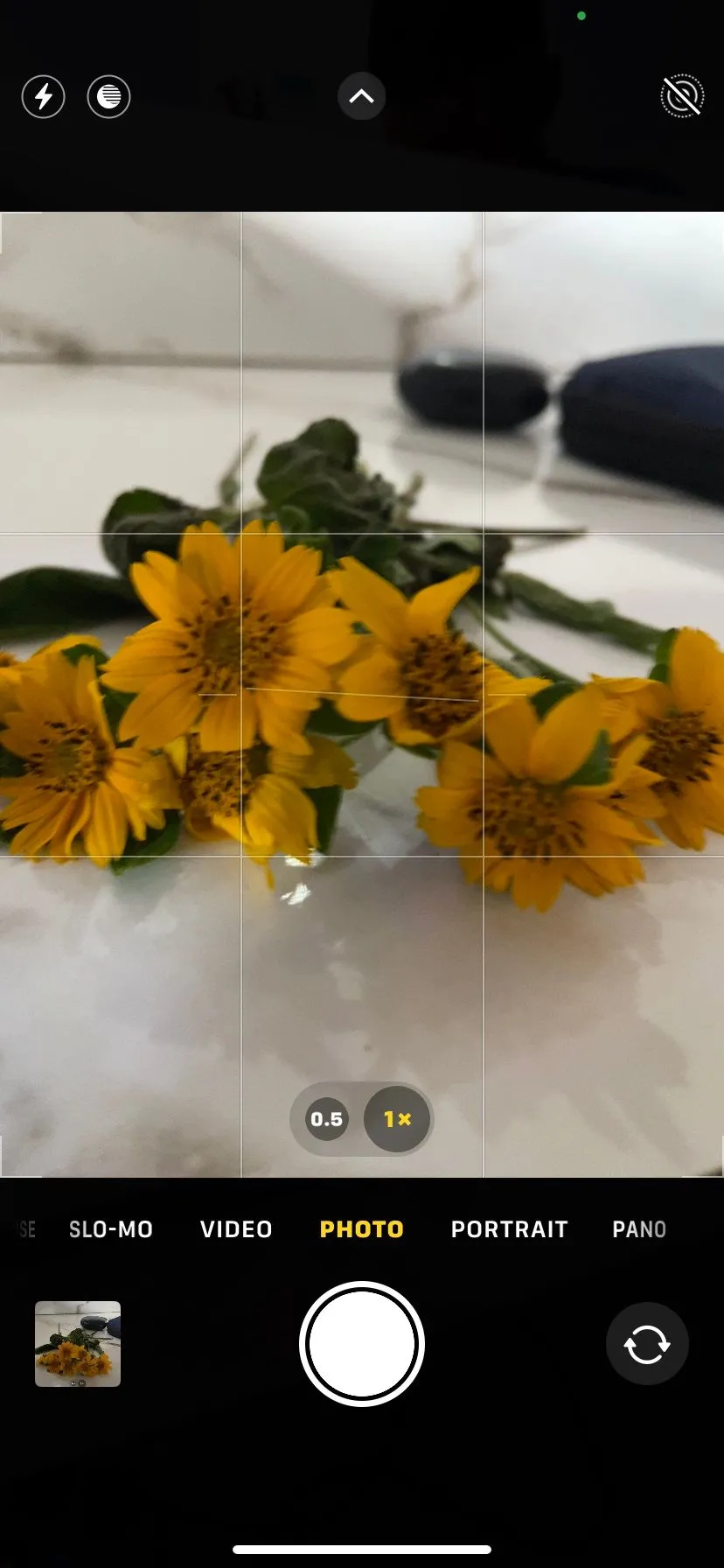 Màn hình ứng dụng camera iPhone với lưới và đường cân bằng được bật