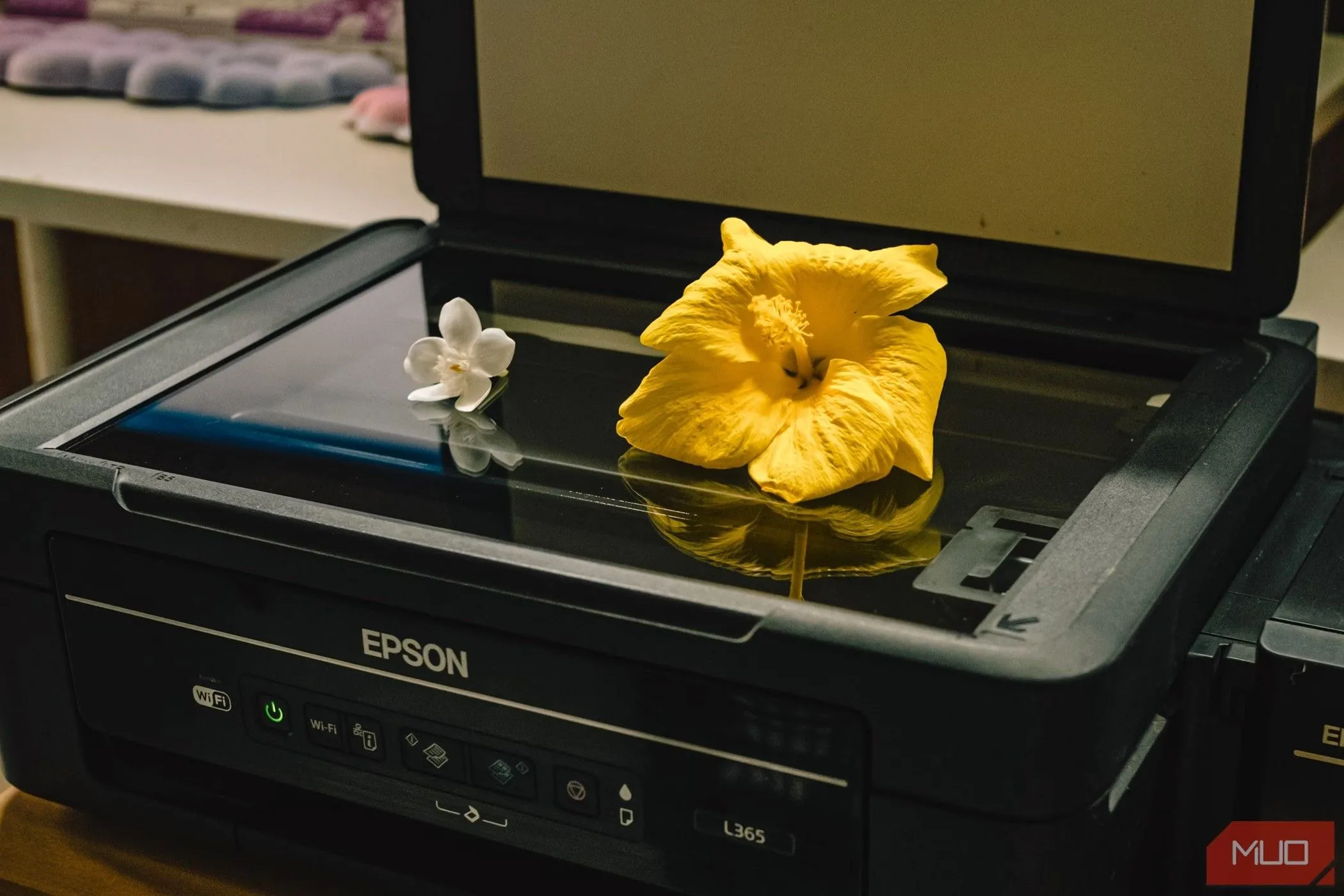 Máy quét phẳng (flatbed scanner) truyền thống với tài liệu đặt trên bề mặt