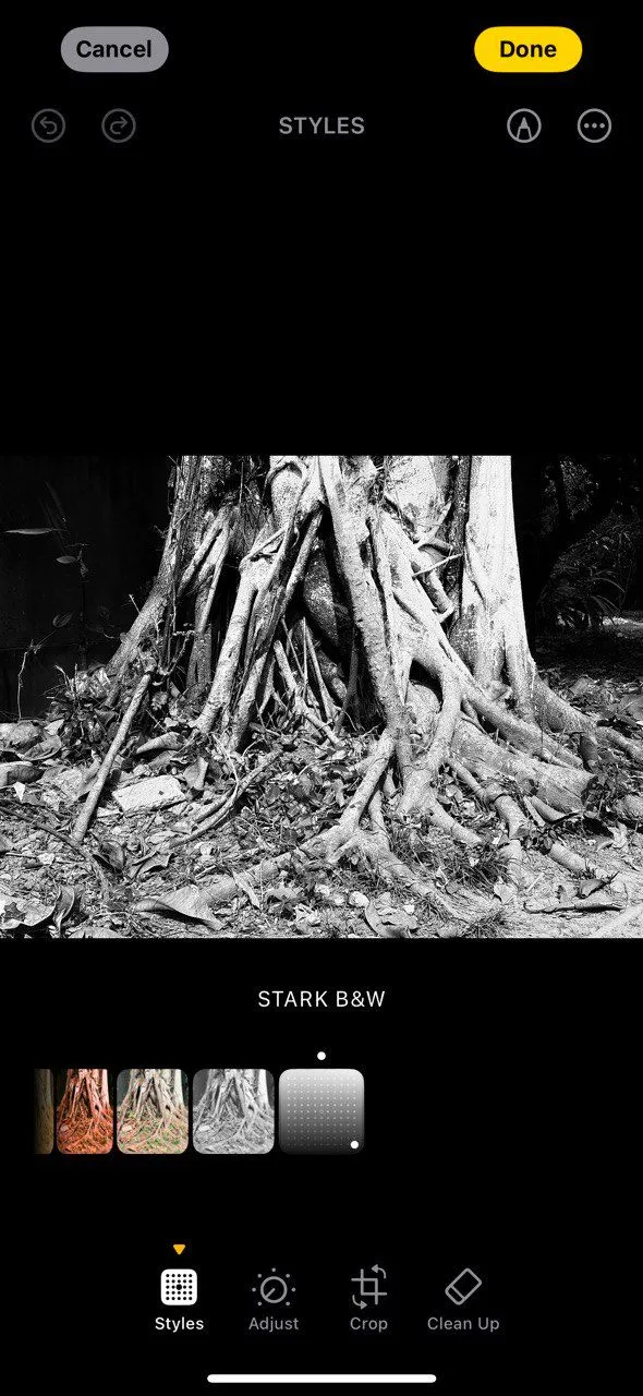 Minh họa Phong cách Nhiếp ảnh Stark B&amp;W đậm chất tương phản trên iPhone 16