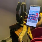 Người dùng đang sử dụng iPhone khi thiết bị đang cắm sạc