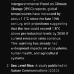 Người dùng sử dụng ChatGPT trên điện thoại thông minh để tìm kiếm thông tin