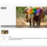 Tạo video trên ứng dụng web Adobe Firefly