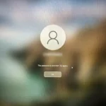 Thông báo đăng nhập Windows 11 thất bại khi quên mật khẩu hoặc mã PIN