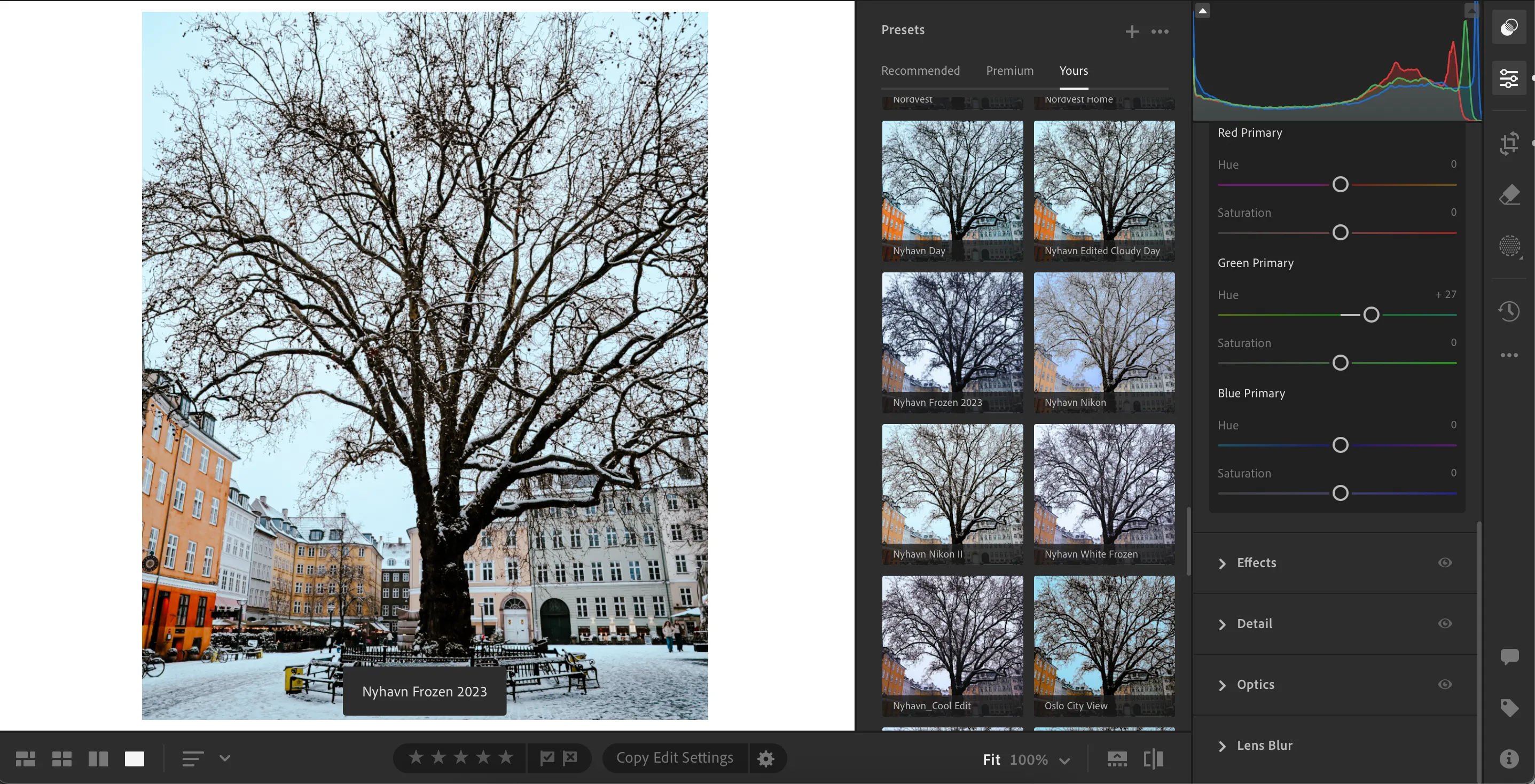 Thư viện các preset có sẵn trong Adobe Lightroom, cho phép người dùng tùy chỉnh và áp dụng nhanh chóng