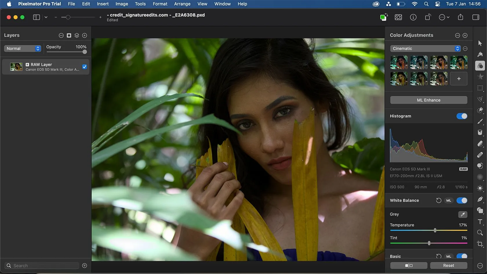 Tính năng chỉnh sửa ảnh RAW của Pixelmator Pro