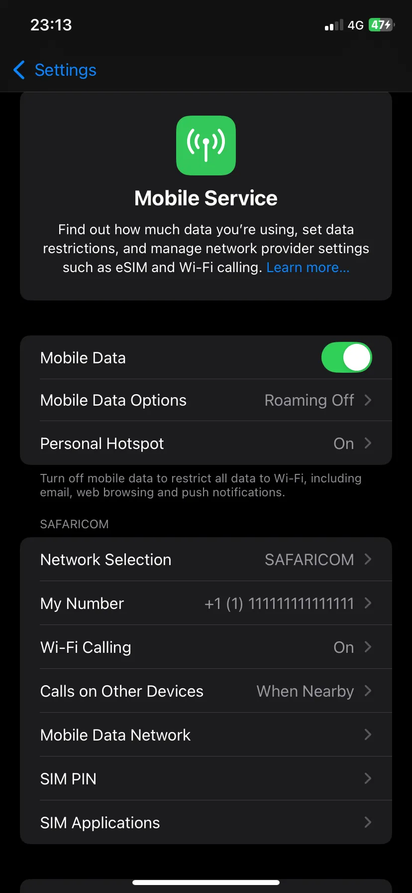 Tùy chọn dữ liệu di động trong Cài đặt iOS để bật Chế độ dữ liệu thấp cho thiết bị phát hotspot