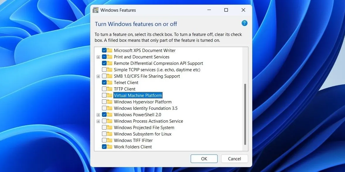 Tùy chọn nền tảng máy ảo trong tính năng Windows