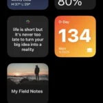 Widget tìm kiếm nhanh của Google trên màn hình chính iOS